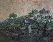 Vincent Van Gogh the olive pickers,saint remy,1889 Spain oil painting artist